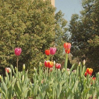 pg电子娱乐·(中国)游戏平台app下载